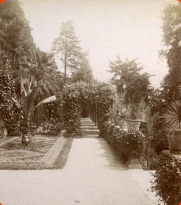 Italy Lake Como Cadenabbia Villa Carlotta Garden Old Stereoview Photo Brogi 1880