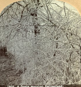 Switzerland Winter A Frosty Morning Old Stereoview Photo CH Graves 1880