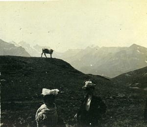 Switzerland Kleine Scheidegg Eiger Glacier Old Amateur Stereoview Photo 1900