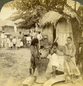 Panama Village Native Life Pounding Rice Old Photo Stereoview Underwood 1904