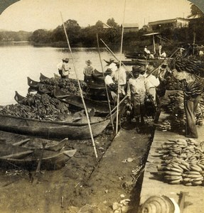 Panama Chagres River Indian Dugout Canoe Banana Trade Stereoview Underwood 1904