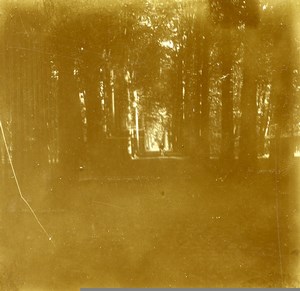 Belgium Brasschaet Castle Driveway Thys Old Amateur Stereoview 1919