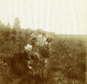 Belgium Brasschaet Group gathering Heather Old Amateur Stereoview 1919