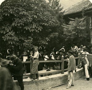 Austria Tyrol Zillertal Music Concert Nationalkapelle Old NPG Stereo Photo 1900