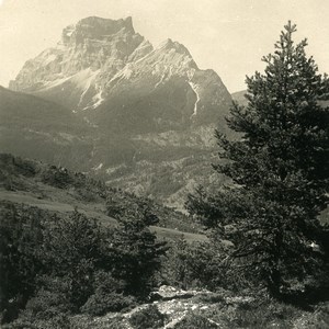 Italy Dolomites Ampezzaner Alps Mount Pelmo Old NPG Stereo Photo 1900