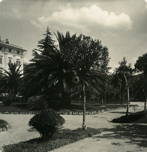 Italy La Spezia Via Mazzini Old NPG Stereo Photo 1900