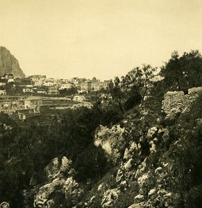 Italy Capri Panorama from Punta Tragara Old NPG Stereo Photo 1900