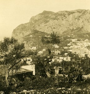 Italy Capri panorama from Telegrafo Old NPG Stereo Photo 1900