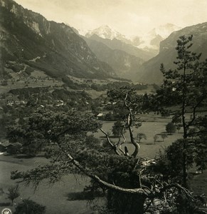 Switzerland Interlaken Monch & Jungfrau from Unspunnen Old NPG Stereo Photo 1900