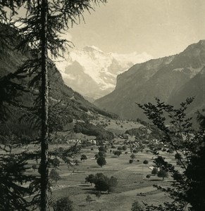 Switzerland Interlaken Kleinen Rugen Jungfrau Old NPG Stereo Photo 1900