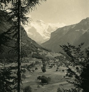 Switzerland Interlaken Kleinen Rugen Jungfrau Old NPG Stereo Photo 1900