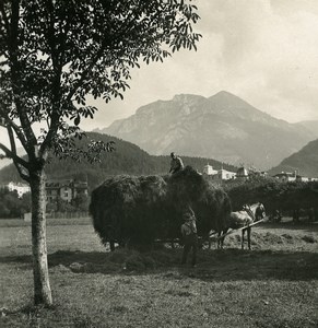 Switzerland Interlaken Saxeten view from Höheweg Old NPG Stereo Photo 1900