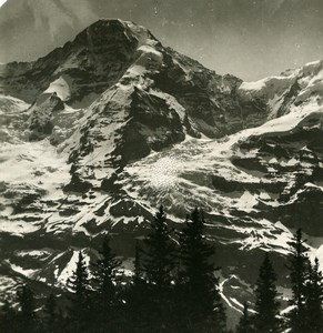 Switzerland Monch seen from Wengener Alps Old Stereo Photo 1900