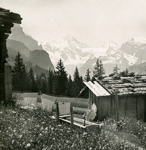 Switzerland Wengen Breithorn Mountain Breithorn Tschingelhorn Stereo Photo 1900