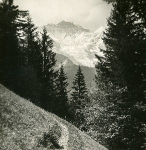 Switzerland Jungfrau Panorama Wengen path Old Stereo Photo 1900