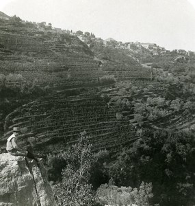 Middle East Syria View of Lebanon Old NPG Stereo Photo 1900