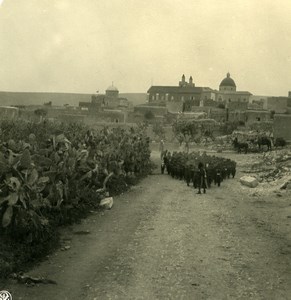 Middle East Lebanon Cana Qana al-Jalil Old NPG Stereo Photo 1900