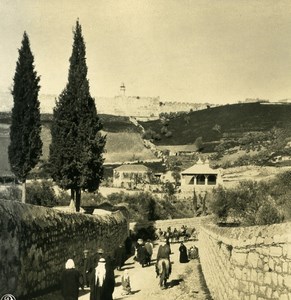 Middle East Israel Jerusalem Panorama Mount of Olives Old NPG Stereo Photo 1900