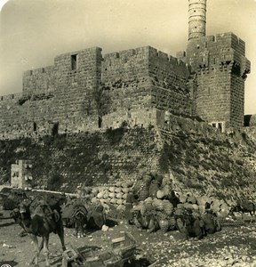 Middle East Israel Jerusalem Wall Bedouins Old NPG Stereo Photo 1900