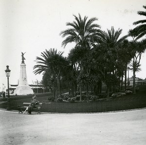 France Nice Public garden Yucca Old Amateur Stereo Photo Possemiers 1900