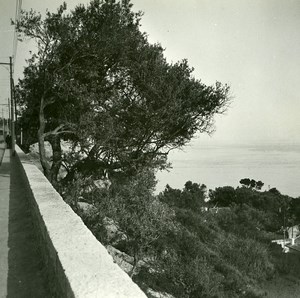 France road Nice to Villefranche Mont Boron Amateur Stereo Photo Possemiers 1900