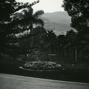 Monaco Monte Carlo Casino gardens Old Amateur Stereo Photo Possemiers 1900