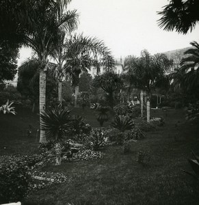 Monaco Monte Carlo Casino gardens Old Amateur Stereo Photo Possemiers 1900