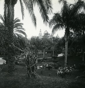 Monaco Monte Carlo Casino gardens Old Amateur Stereo Photo Possemiers 1900