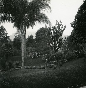 Monaco Monte Carlo Casino gardens Old Amateur Stereo Photo Possemiers 1900