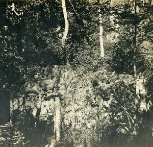 France Foret de Fontainebleau Forest Sponge Rock Old Stereo Photo SIP 1900