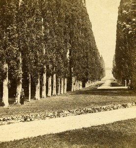 France Chateau de Versailles Castle Gardens Old Stereo Photo 1870