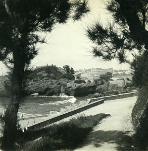 France Biarritz Harbor Road Tamarix Trees Old Stereoview Photo CPS 1900