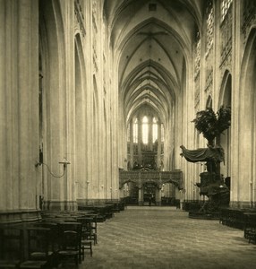Belgium Leuven Louvain St Peter Church Interior Old NPG Stereoview Photo 1900's