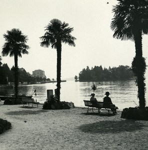 Italy Lake Maggiore Pallanza public garden Old Possemiers Stereoview Photo 1900