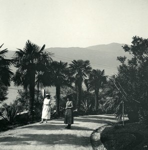 Italy Lake Maggiore Pallanza Eden Hotel Gardens Possemiers Stereoview Photo 1900