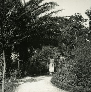 Italy Lake Maggiore Pallanza Eden Hotel Gardens Possemiers Stereoview Photo 1900