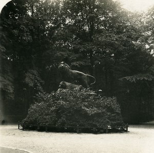 Germany Berlin Tiergarten Lion Statue Old Stereoview Photo NPG 1900