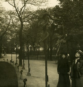 Germany Hamburg Zoological Garden Old Stereoview Photo NPG 1900