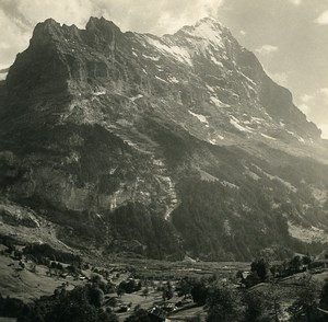 Switzerland Alps Grindelwald & Eiger Old Stereoview photo NPG 1900