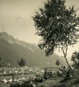 France Alps Chamonix panorama Aiguilles Rouges Old Stereoview photo Wehrli 1900