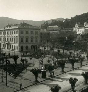 Italy Alassio the Gardens Old Stereoview photo NPG 1900