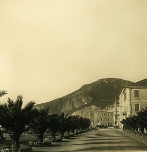 Italy Finalmarina Palms Street Old Stereoview photo NPG 1900