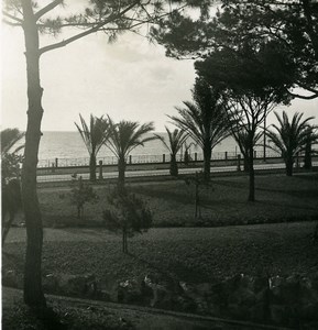 Italy Arenzano the gardens Old Stereoview photo NPG 1900