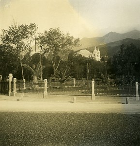 Italy Arenzano the Gardens Old Stereoview photo NPG 1900