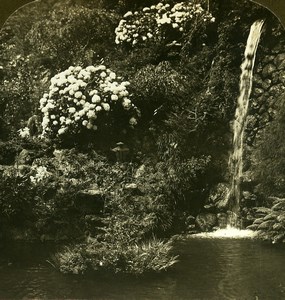 Japan Dogashima Tea House Garden Old White Stereoview Photo 1900