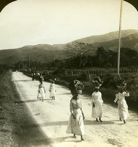 Jamaica Market Women on road to Kingston Market Old White Stereoview Photo 1900