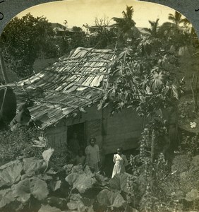 Puerto Rico cabin in jungle at Byamas Old Keystone View Stereoview Photo 1900