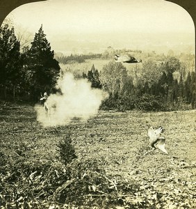 USA a wing shot Quail Hunting in the West Old Young Stereoview Photo 1900