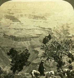 USA Colorado Grand Canyon Bright Angel Creek Old Young Stereoview Photo 1900