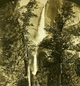 USA Yosemite Park the Grand Yosemite Falls Old White Stereoview Photo 1900